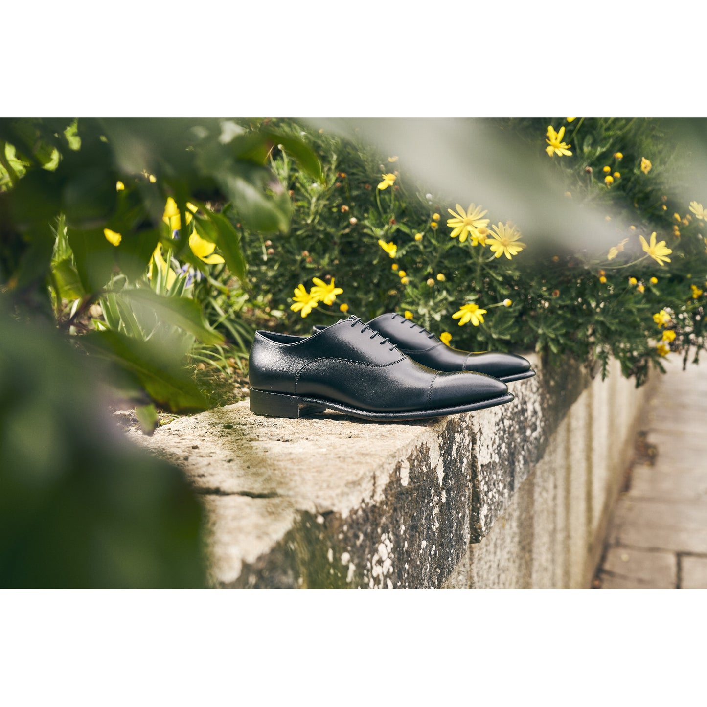 Product image for Herring Churchill II in black calf