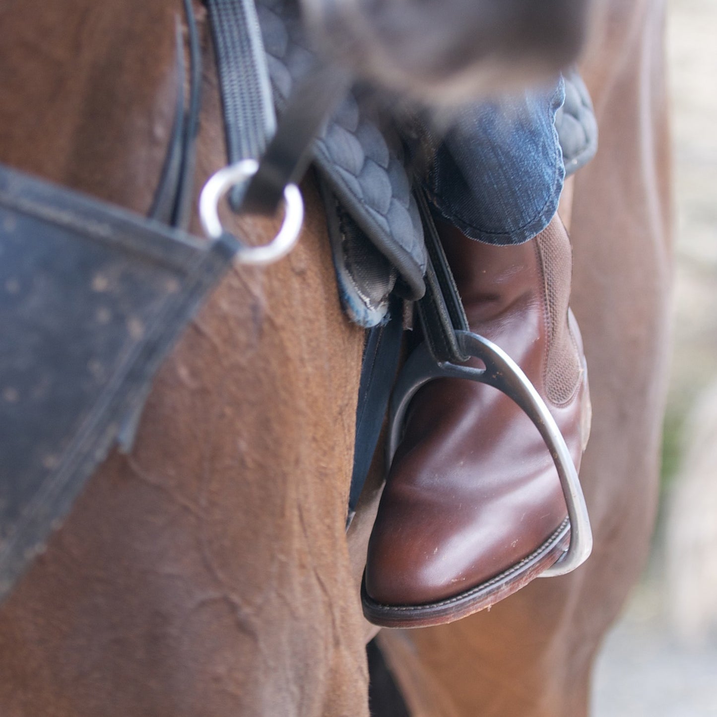 Product image for Herring Coltham in brown waxy calf