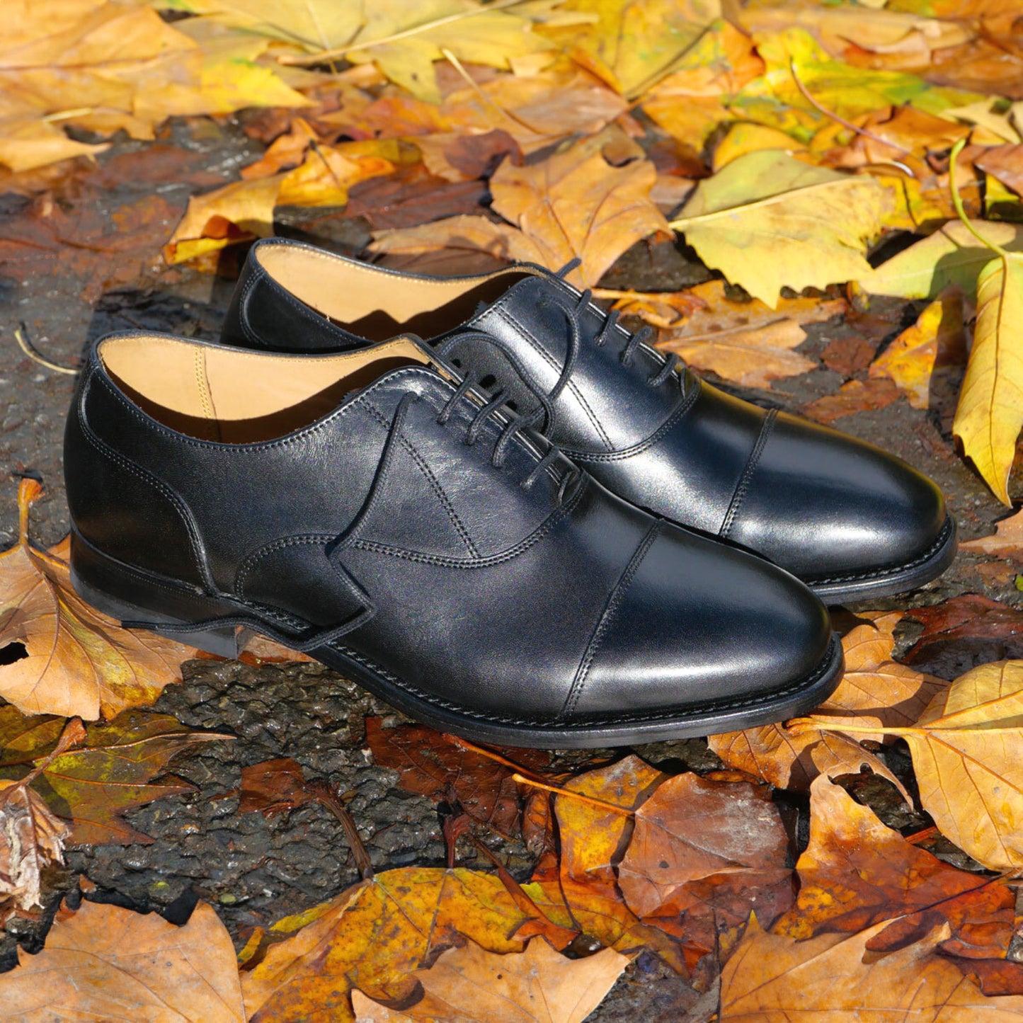 Product image for Herring Newcastle in black calf