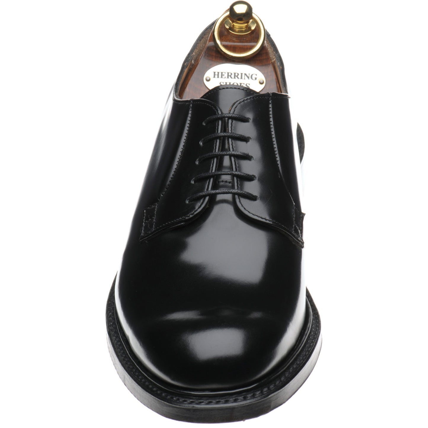 Product image for Herring Slaney mens Derby shoes in black polished
