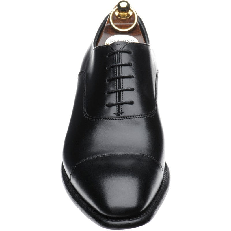 Product image for Herring Churchill II in black calf