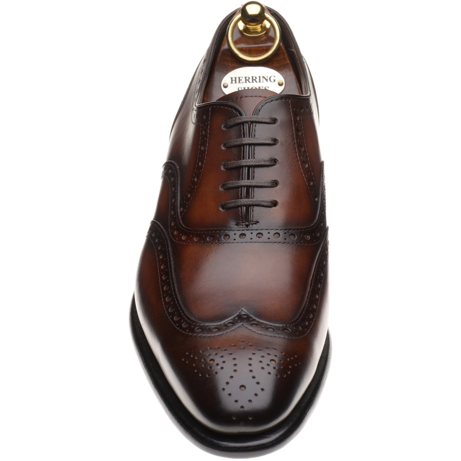 Product image for Herring Munster II mens brogues in rosewood calf