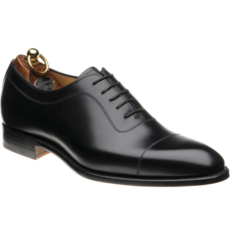 Product image for Herring Rodington in black calf